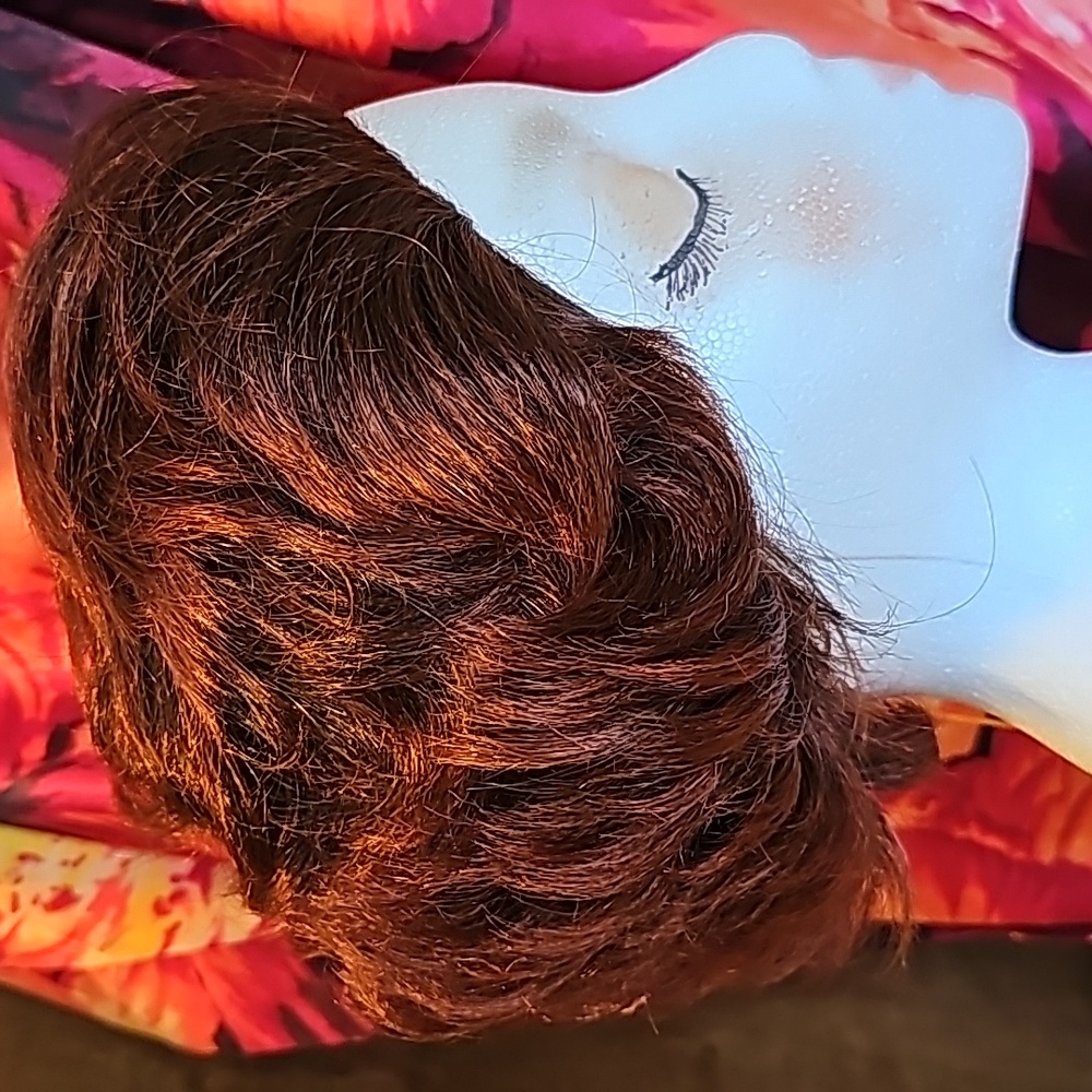 NWT Masterpiece Short & Sassy Wig/extension